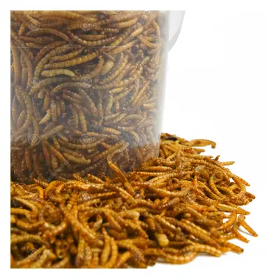 GardenersDream Dried Mealworms (70L)