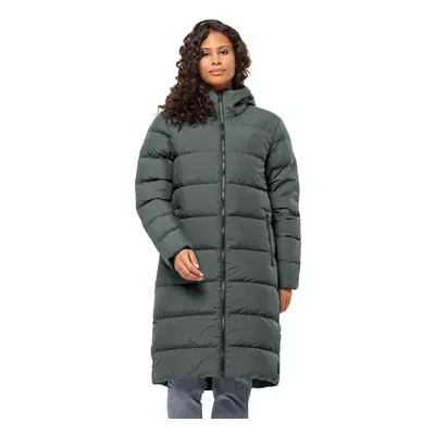 (L, Slate Green) Jack Wolfskin Womens Frozen Palace Windproof Water Repellent Jacket