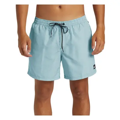 (S, Frosty Spruce) Quiksilver Mens Everyday Delux Volley 15" Swim Swimming Trunks Shorts