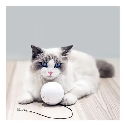 Smart Interactive Pet toxic Degree Self Rotating Ball Toys with Bell Built-In Spinning Eye-Prote