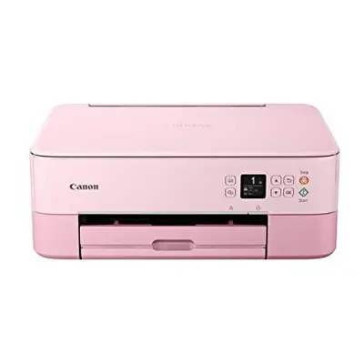 Canon PIXMA TS5352 Multifunctional Wifi Printer - Pink