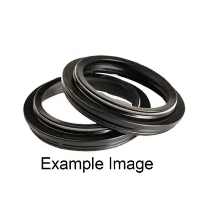 Ariete Dust Seals Pair X /5 X 6/10 /5 Y-1 Cap