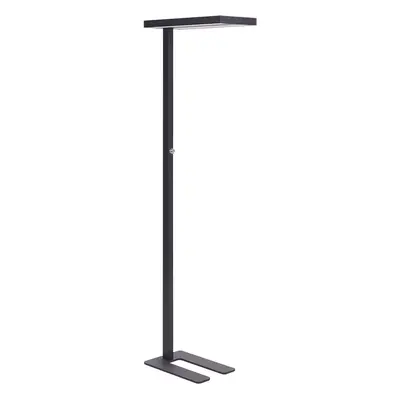 LED Floor Lamp TAURUS With Dimmer Metal Black