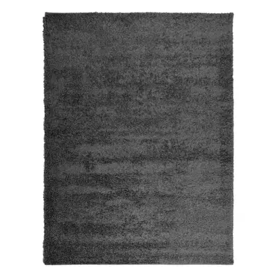 (anthracite, x cm) vidaXL Shaggy Rug Floor Mat Fluffy Rug Area Rug PAMPLONA High Pile Modern