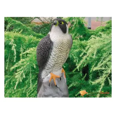 Ubbink Animal Figure Falcon 40cm Garden Lawn Pond Decorative Figurine Ornament