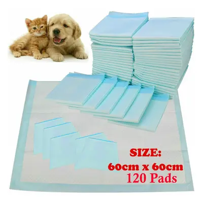 (120 Pack) Heavy Duty Dog Puppy Large Absorbent Training Pads