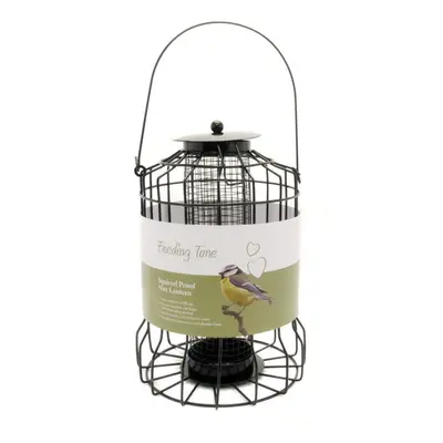 Feeding Time Squirrel Proof Nut Lantern