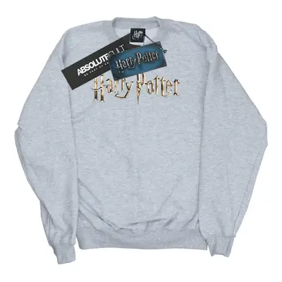 (L, Sports Grey) Harry Potter Womens/Ladies Full Colour Logo Sweatshirt