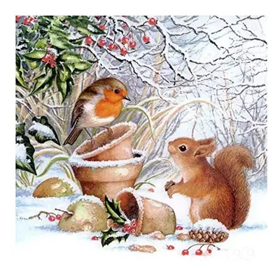 Huacan 5D DIY Diamond Painting Kits for Adults Animals Bird and Squirrel Full Square Drill Snow 