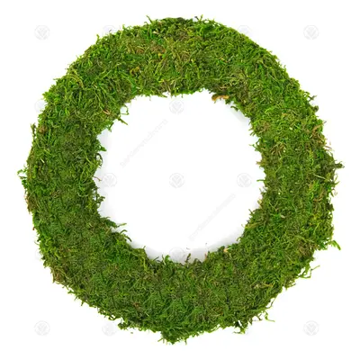 (8", 20) Gardenersdream Padded Moss Effect Rings | Christmas Wreath Making Bases Frames