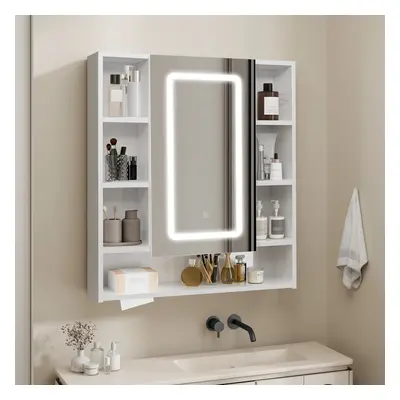 LED Bathroom Mirror Cabinet Color Dimmable Light Tissue Slot 70x80cm