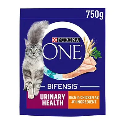 Purina ONE Adult Dry Cat Food Urinary Health, Rich in Chicken 750g (Pack of 4), Packaging May Va