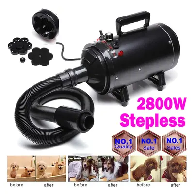 2800W Stepless Speed Dog Cat Pet Grooming Hair Dryer Hairdryer Powerful Blaster Blower Black wit