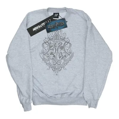 (3XL, Sports Grey) Harry Potter Mens Hogwarts Draco Dormiens Crest Sweatshirt