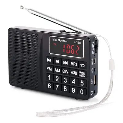 Chronus Small Radio Portable and Mains, AM(MW)/SW/FM Radio Rechargeable with Bass Speaker, Large