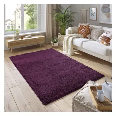 (200cm x 290cm (6ft 8" x 9ft 7")) Soft Thick Luxury Modern Shaggy Rug Aubergine