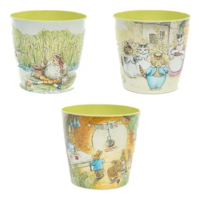 Plant Pot Beatrix Potter Set Of Eco Garden Eco-Pot Peter Rabit Set