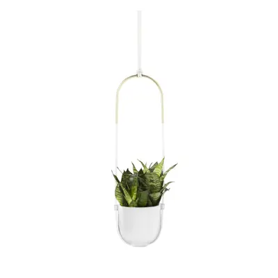 UMBRA BOLO PLANTER WHITE