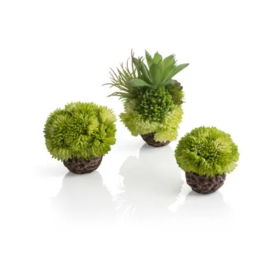 (Green) Oase biOrb Aquarium Decorative Coral Ball Set