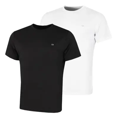 (L, Black/White) Calvin Klein Mens Pack Lightweight Wicking Performance Tech T-Shirt