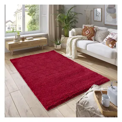 (120cm x 170cm (4ft x 5ft 8")) Soft Thick Luxury Modern Shaggy Rug Red