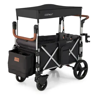 Twin Stroller Wagon Passenger Push Pull Stroller Wagon