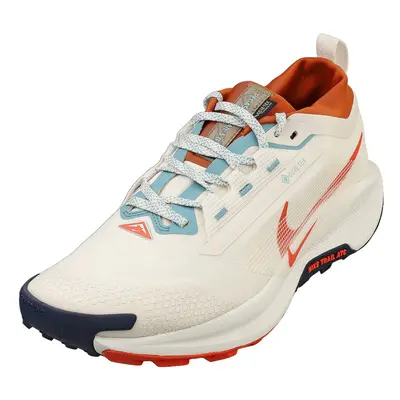 (7.5) Nike Pegasus Trail Gore-tex Mens Fashion Trainers in Phantom