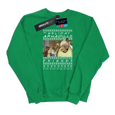 (S, Irish Green) Friends Womens/Ladies Fair Isle Holiday Armadillo Sweatshirt