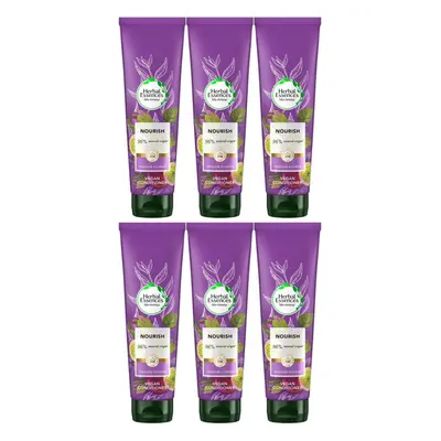 6x Herbal Essences Bio Renew NOURISH Passion Flower Conditioner, 275ml