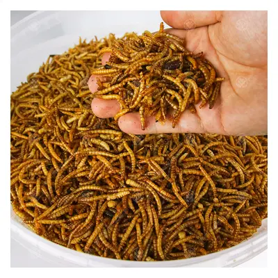 GardenersDream Dried Mealworms (12.55kg)