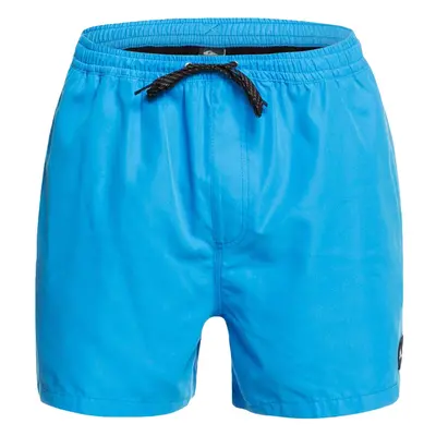 (L, Blithe) Quiksilver Mens Everyday 15" Elasticated Summer Beach Pool Swimming Swim Shorts