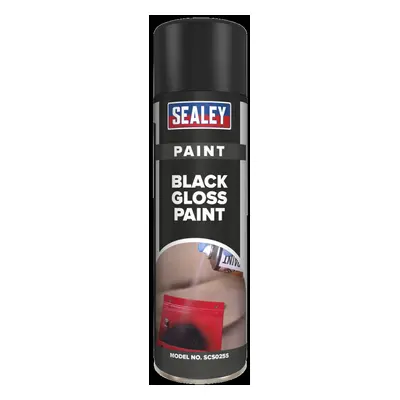 Black Gloss Paint 500ml Pack of