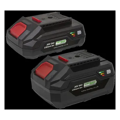 Power Tool Battery Pack 20V 2Ah & 4Ah Kit for SV20 Series