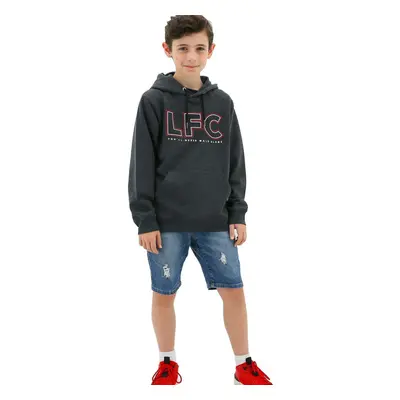 (12) Liverpool FC Youth Boys Hoodie Jumper LFC Anfield Hoody - Grey