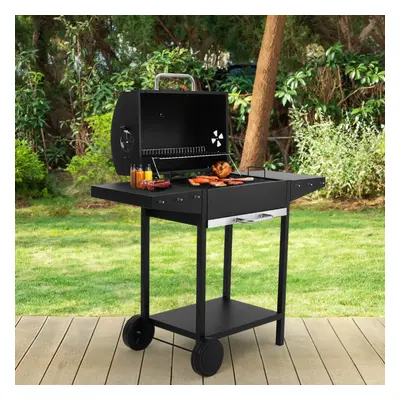 Outdoor Garden Charcoal Grill