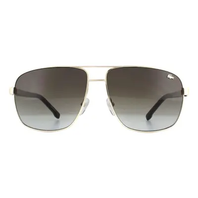 Lacoste Sunglasses L162S Gold Brown Gradient