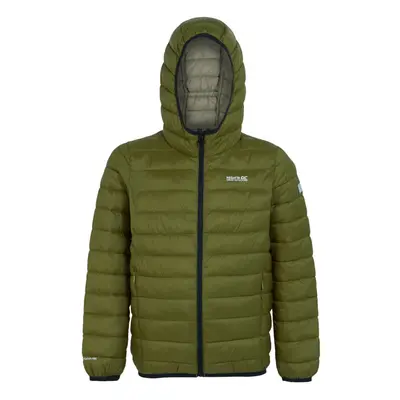 (3-4 Years, Nephrite Green/Abbeystone) Regatta Childrens/Kids Marizion Hooded Padded Jacket