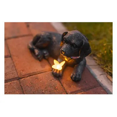 Solar Labrador Puppy Garden Ornaments LED Butterfly Black Weatherproof