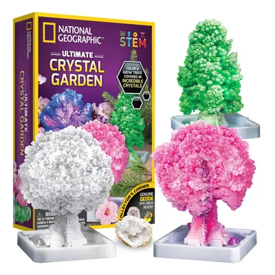 NATIONAL GEOGRAPHIC Craft Kits for Kids - Crystal Growing Kit - Grow a