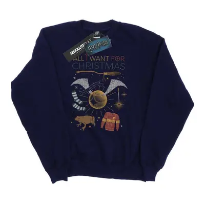 (M, Navy Blue) Harry Potter Womens/Ladies All I Want For Christmas Sweatshirt