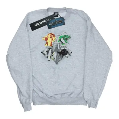 (S, Heather Grey) Harry Potter Womens/Ladies Hogwarts Painted Crest Sweatshirt