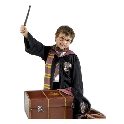 Rubie's Official Harry Potter Boy's Fancy Dress Costume - One size, Multi-Coloured