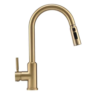 (Gold) Modern Single Handle Kitchen Faucet