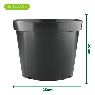 50 x 7.5L Round Black Plant Pots For Growing Garden Plant & Herb Outdoor Growers