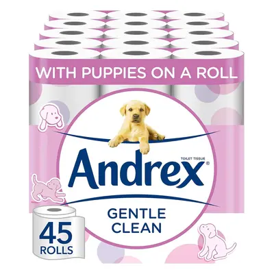 Andrex Gentle Clean Toilet Rolls Toilet Roll Pack Bulk Buy Toilet Rolls Gentle and Soft on Your 