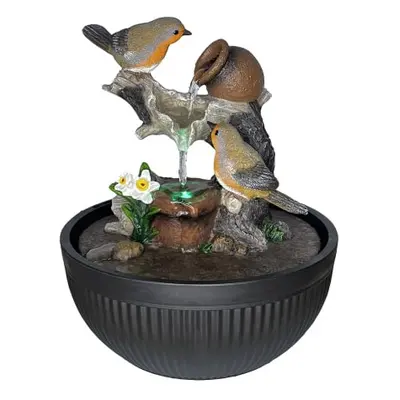 Radiant Robins Water Feature Home Decor Indoor Nature's Beauty