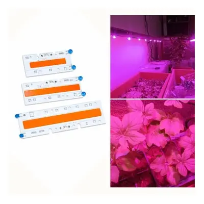 (110V, 70W) 30W/50W/70W High Power Full Spectrum LED Grow COB Light Chip for Plants Vegetable AC