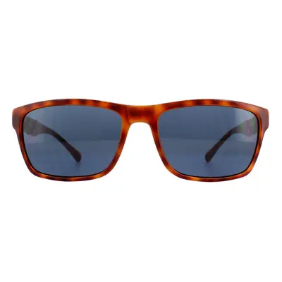 Guess Sunglasses GU6756 HNY9 Honey Tortoise Blue