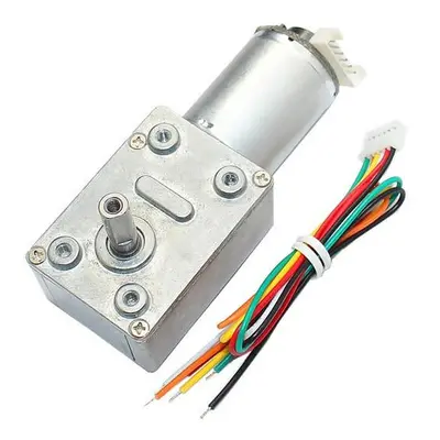 DC 24V 80RPM High torque Turbo Encoder Motor Worm Geared Reducer