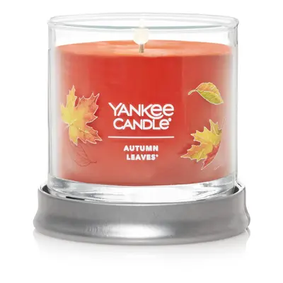 Yankee Candle Autumn Leaves Scented Signature 4.3oz Small Tumbler Single Wick Candle Over Hours 